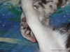 cimg_3730