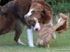 cimg_3077