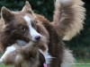 cimg_3162