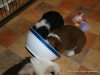 comp_dsc01905