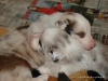 comp_dsc01909
