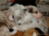 comp_dsc01910