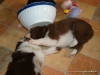 comp_dsc01915