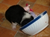 comp_dsc01922