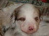 comp_dsc01924