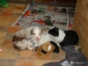 comp_dsc01930