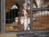 comp_dsc01934