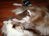 comp_dsc01942