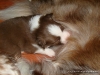 comp_dsc01944