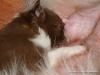 comp_dsc01949