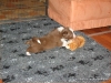comp_dsc01956