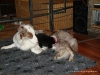 comp_dsc01962