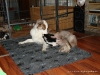 comp_dsc01963