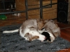 comp_dsc01964