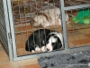 comp_dsc01965
