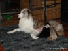 comp_dsc01968