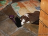 cIMG_0137