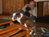 cIMG_0154