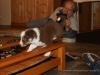 cIMG_0155