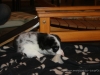 cIMG_0197