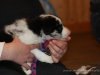 cIMG_0222