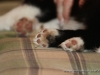 cIMG_0227