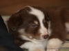 cIMG_0229