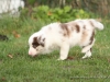 cIMG_0265