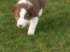 cIMG_0289