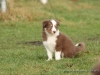 cIMG_0298