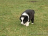 cIMG_0341