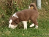 cIMG_0378