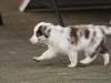 cIMG_0415