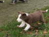 cIMG_0419