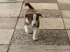 cIMG_0428