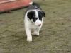 cIMG_0454