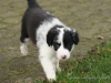 cIMG_0456