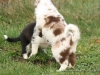 cIMG_0464