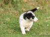 cIMG_0477