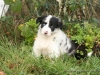 cIMG_0492