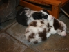 cIMG_0512