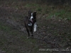 cIMG_7638