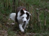 cIMG_7671