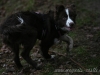 cIMG_7685