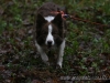 cIMG_7701