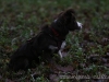 cIMG_7712