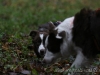 cIMG_7723