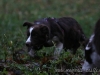 cIMG_7730