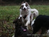 cIMG_7746