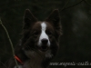 cIMG_7796